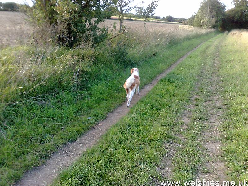 2011-08-08 05.jpg